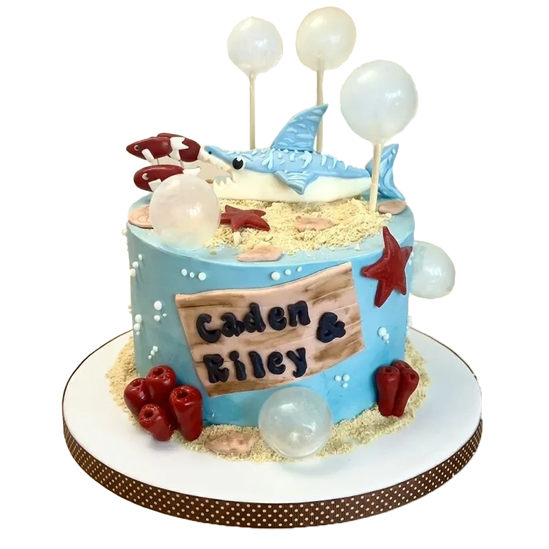 Ocean birthday cake with shark figure, starfish, coral, sand texture, and Caden and Riley name inscription
